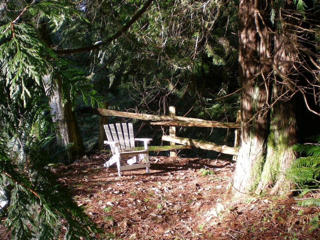 Bed and Breakfast Davis Brook Retreat Sechelt Exteriér fotografie