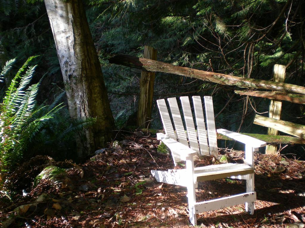 Bed and Breakfast Davis Brook Retreat Sechelt Exteriér fotografie