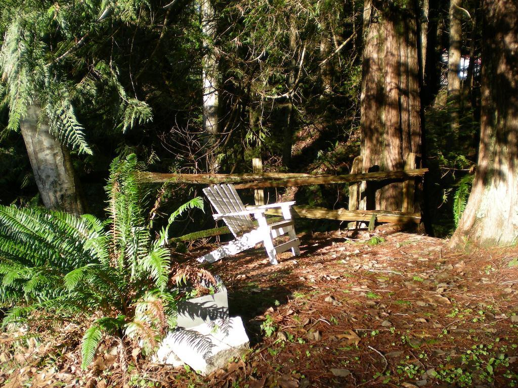 Bed and Breakfast Davis Brook Retreat Sechelt Exteriér fotografie