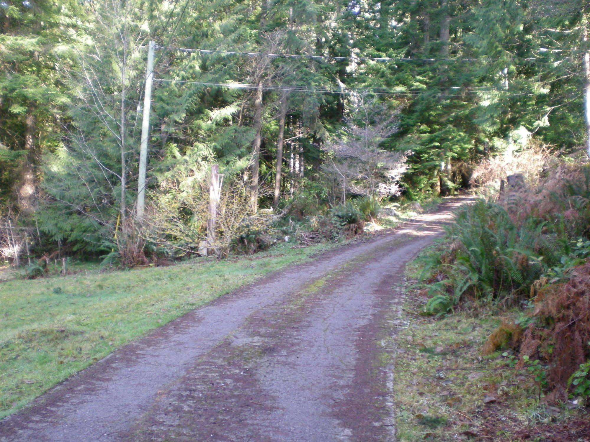 Bed and Breakfast Davis Brook Retreat Sechelt Exteriér fotografie